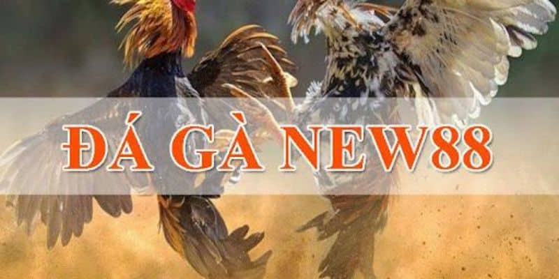 Dieu kien de co the choi da ga