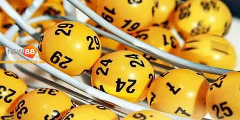 new88 da dang the loai