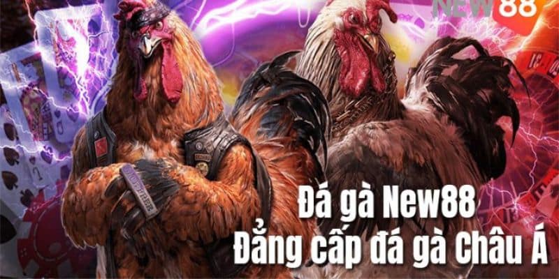 nhung luu y khi choi tai new88