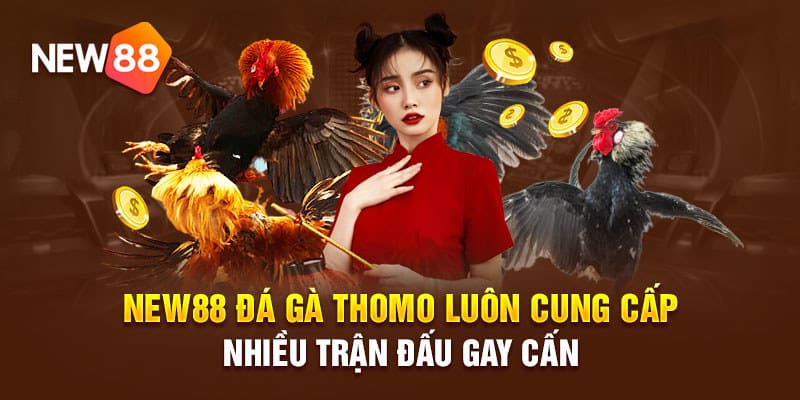 so luoc ve da ga tai nha cai new88