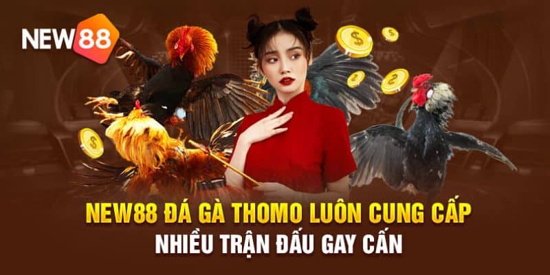 hinh thuc dat cuoc xem da ga truc tiep online new88