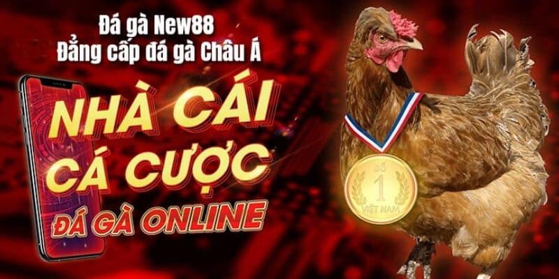 xem da ga truc tiep online tai nen tang new88