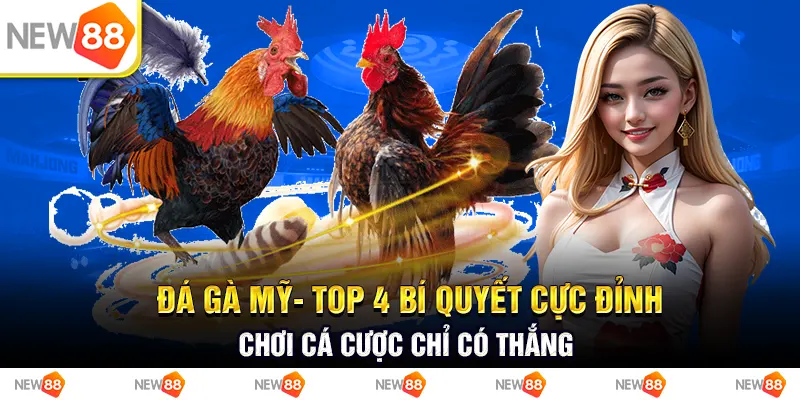 Đá gà Mỹ - Top 4 bí quyết cực đỉnh, chơi cá cược chỉ có thắng 10 Đá gà mỹ- top 4 bí quyết cực đỉnh chơi cá cược chỉ có thắng
