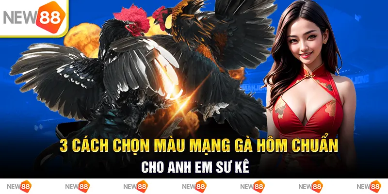 3 cách chọn màu mạng gà hôm chuẩn cho anh em sư kê