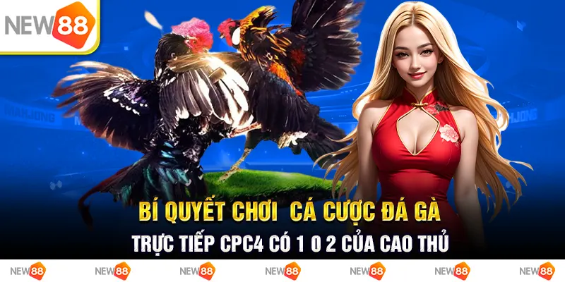 Bí quyết chơi cá cược đá gà trực tiếp CPC4 có 1 0 2 của cao thủ 2 Bí quyết chơi cá cược đá gà trực tiếp cpc4 có 1 0 2 của cao thủ