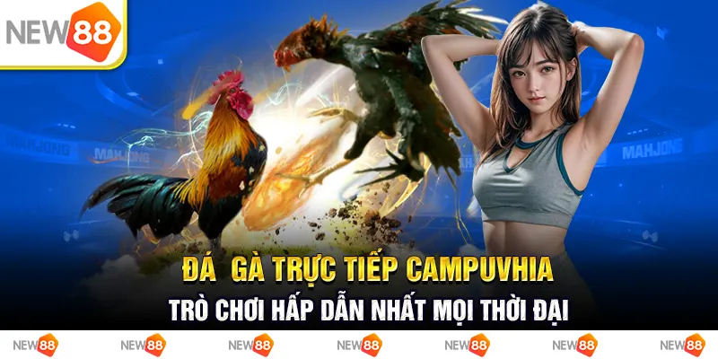 Đá gà trực tiếp campuvhia - trò chơi hấp dẫn nhất mọi thời đại