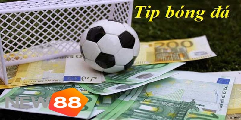 Bật mí các típ soi kèo bóng đá giúp cá cược thắng lớn 4 Những típ soi kèo bóng đá dành cho người mới quan tâm