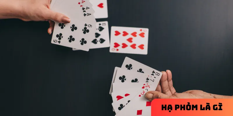 Quy trình chơi hạ phỏm đơn giản nhưng đòi hỏi sự tính toán và chiến thuật cao.