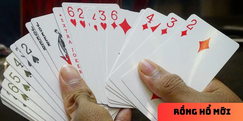 Rồng hổ mới: Cách chơi và mẹo tăng tỷ lệ thắng cho người mới 3 Cách thức chơi Rồng hổ mới chi tiết