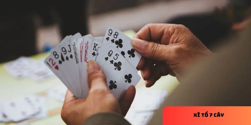Sơ lược cách chơi xì tố 7 cây