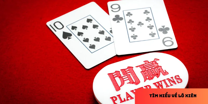 Mẹo chơi rồng hổ hiệu quả