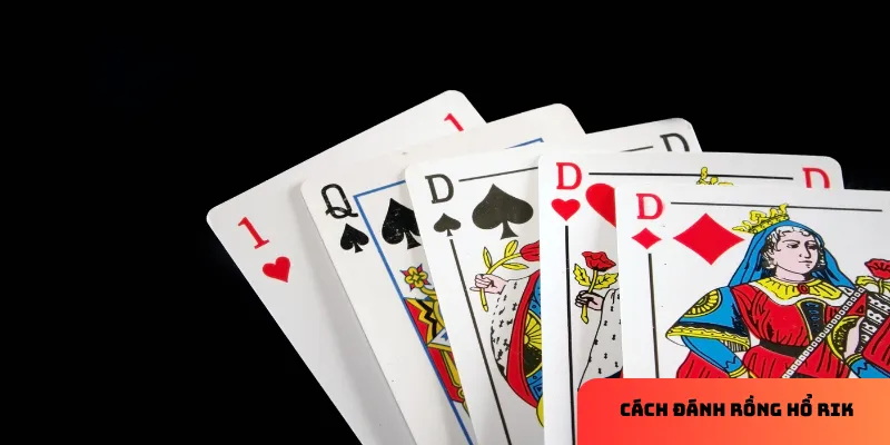 Mẹo đánh rồng hổ rik hiệu quả