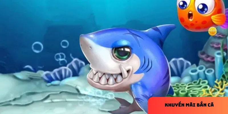 Đọc kỹ điều khoản và kết hợp chiến thuật chơi thông minh