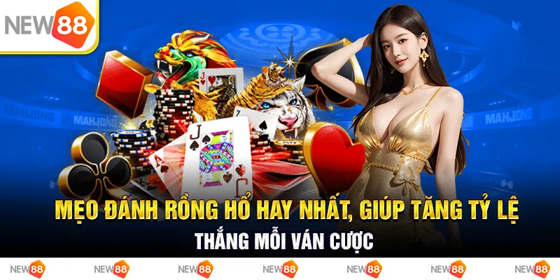 Mẹo đánh rồng hổ hay nhất, giúp tăng tỷ lệ thắng mỗi ván cược