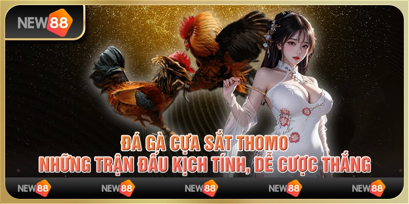 Đá gà cựa sắt Thomo: Những trận đấu kịch tính, dễ cược thắng 9 Đá gà cựa sắt Thomo: Những trận đấu kịch tính, dễ cược thắng