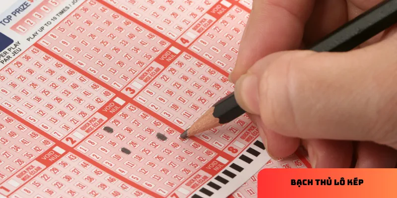 Chọn nhà cái uy tín là bước khởi đầu quan trọng.