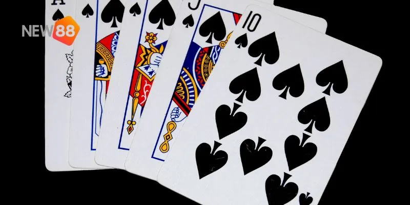 Nội dung này hướng dẫn cách chơi domino và tham gia hiệu quả.