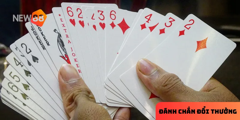 Ưu điểm của việc đánh chắn tại nhà cái new88