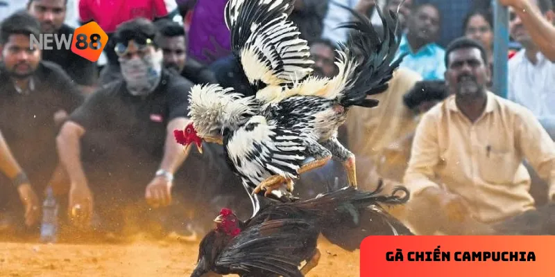 Giao diện thân thiện giúp người chơi tập trung vào trải nghiệm.