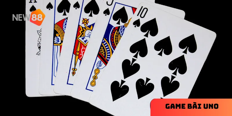 Bộ bài Uno đặc biệt với màu sắc bắt mắt và các lá bài chức năng sáng tạo.