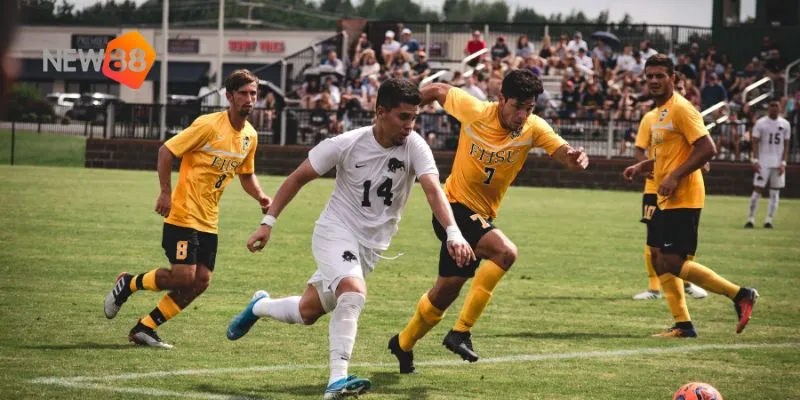 Điểm nhấn trong các sự kiện UFC sắp tới.