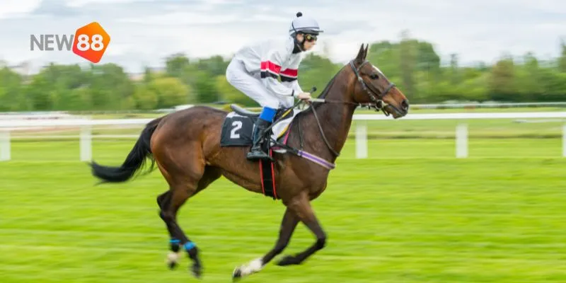 Nội dung này giải thích khái niệm và sức hút của đua ngựa và cá cược.