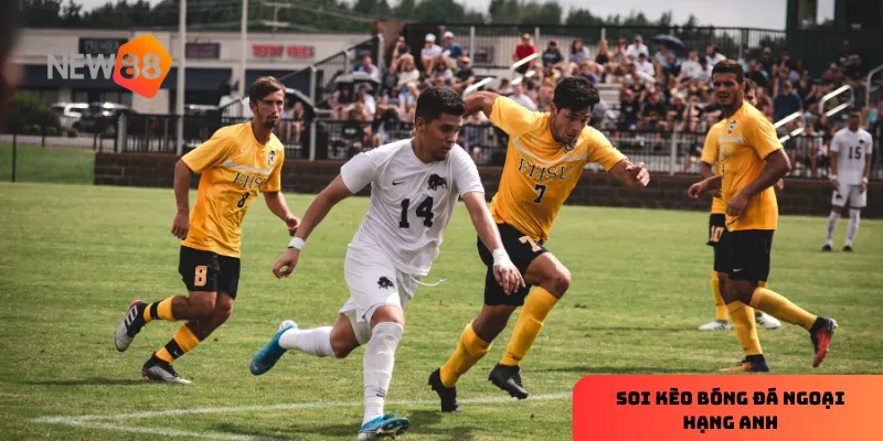 Tầm quan trọng của việc soi kèo bóng đá