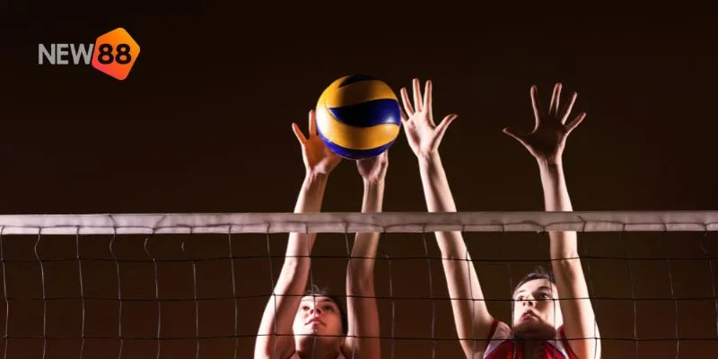 New88 hỗ trợ người chơi với các công cụ và ưu đãi hấp dẫn.