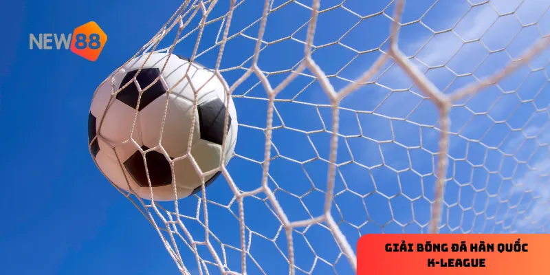 Cập nhật tỷ lệ kèo tại NEW88 giúp bạn có thêm lợi thế khi tham gia cá cược.