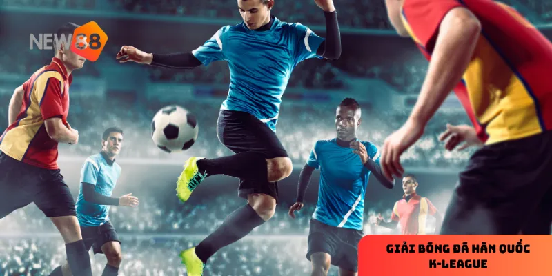 Quản lý ngân sách cá cược