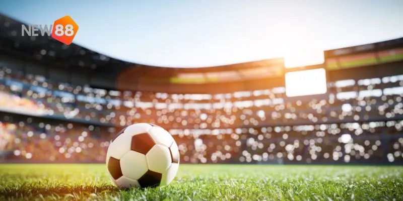 Phân tích phong độ toàn diện.