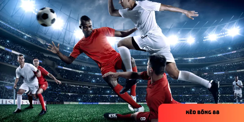 Khám phá các loại kèo phổ biến