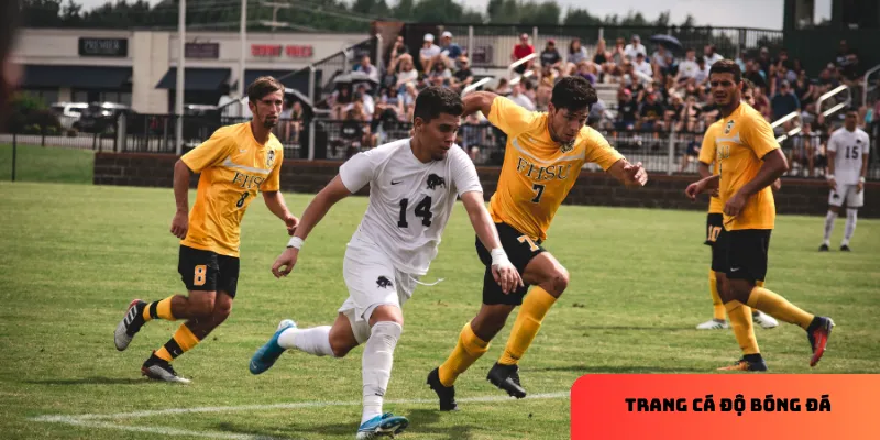 Chú thích: Tỷ lệ cược chuẩn giúp tối ưu cơ hội thắng.