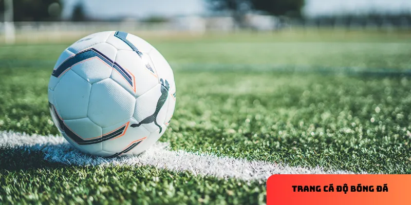 Chú thích: Quản lý vốn hiệu quả để chơi lâu dài.