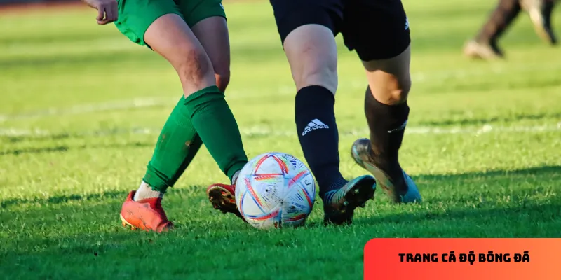 Chú thích: Tính pháp lý giúp bảo vệ người chơi tốt hơn.