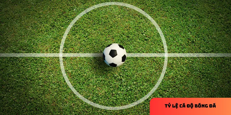 Tỷ lệ cược là cơ sở để đánh giá khả năng thắng thua.