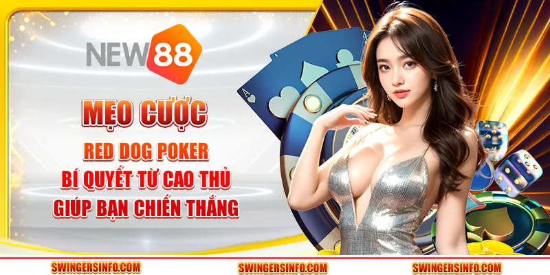 Mẹo cược red dog poker: bí quyết từ cao thủ giúp bạn chiến thắng
