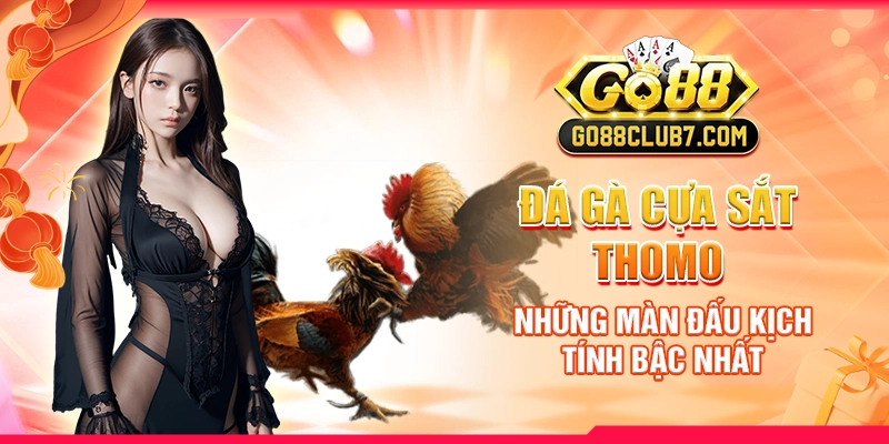 Đá Gà Cựa Sắt Thomo - Những Màn Đấu Kịch Tính Bậc Nhất
