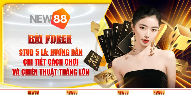 Bài poker stud 5 lá: Hướng dẫn chi tiết cách chơi và chiến thuật thắng lớn 1 Bài poker stud 5 lá: Hướng dẫn chi tiết cách chơi và chiến thuật thắng lớn