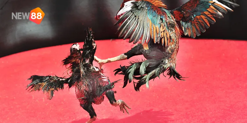 Hiểu rõ đối thủ để đưa ra chiến lược chính xác.