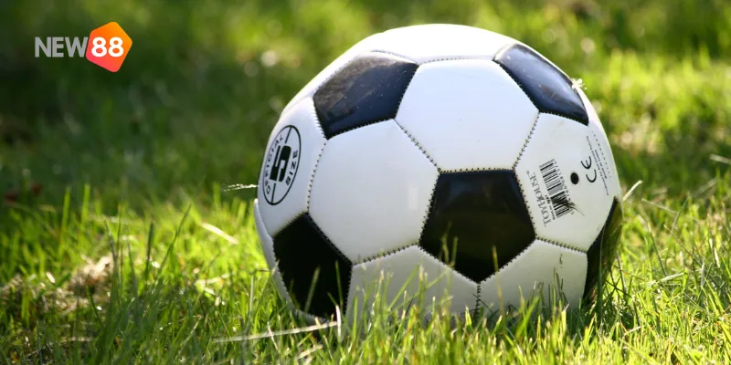 Phong độ ổn định đã giúp Bayern Munich giữ vững vị thế tại Bundesliga.