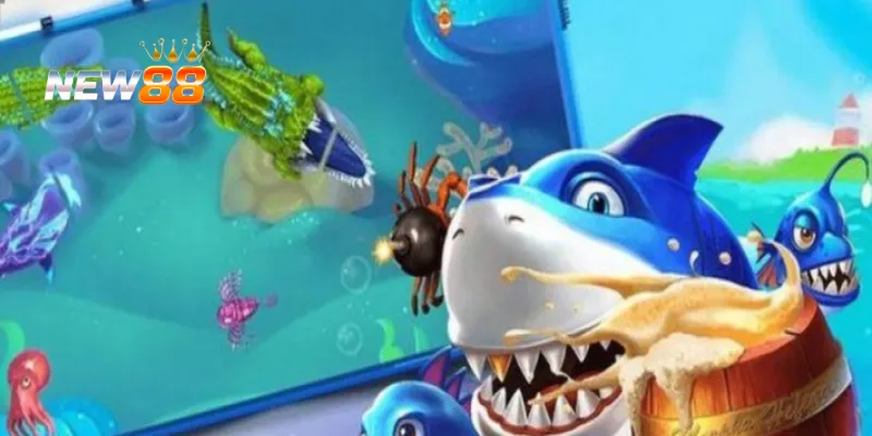 Tập trung vào cá đặc biệt và tận dụng tính năng