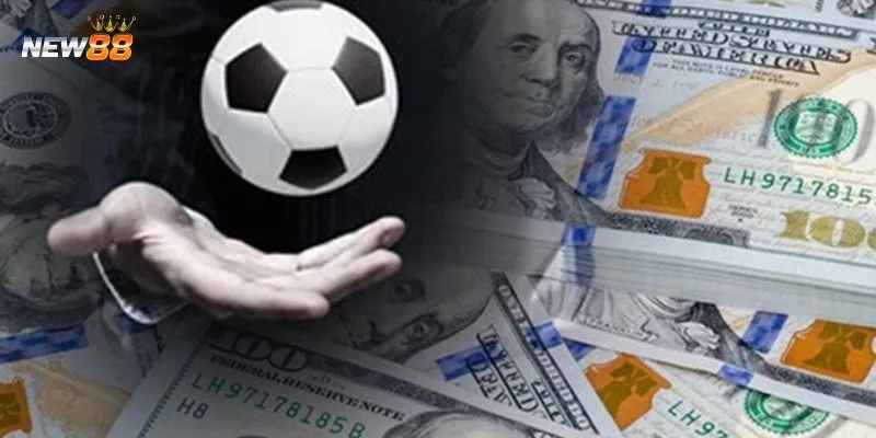 Khám phá các hình thức cá cược vòng loại Euro