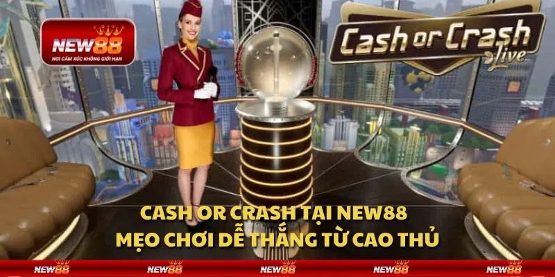 Cash or Crash tại New88 - Mẹo chơi dễ thắng từ cao thủ
