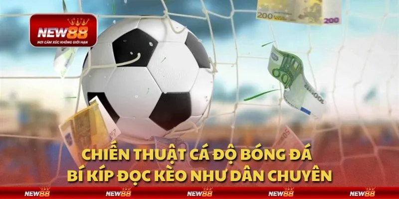 Chiến thuật cá độ bóng đá - Bí kíp đọc kèo như dân chuyên