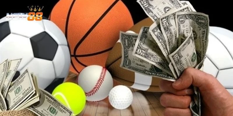 Khám phá về cược thể thao live 