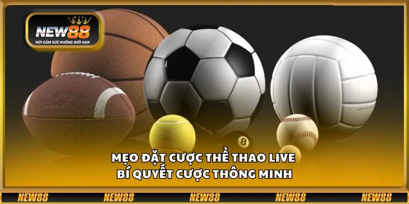 Mẹo đặt cược thể thao live - Bí quyết cược thông minh