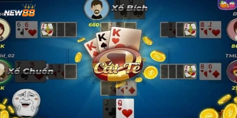 Quy tắc chơi Catte cần nắm rõ trước khi bắt đầu