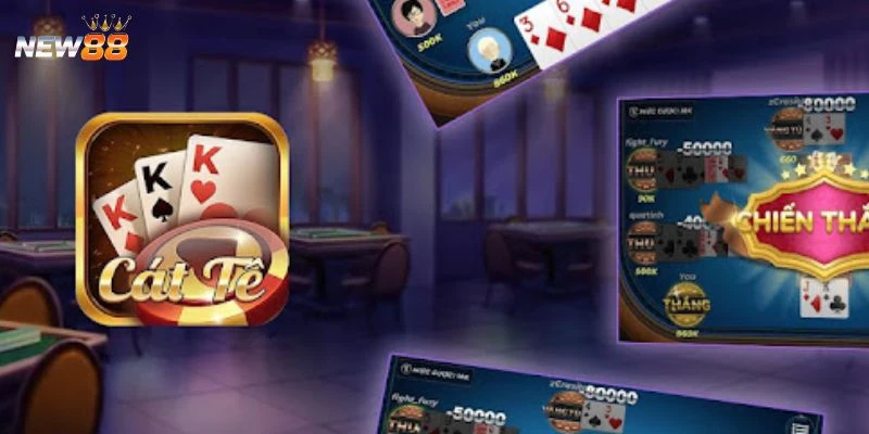 Bật mí cách chơi Catte dễ thắng liên tiếp