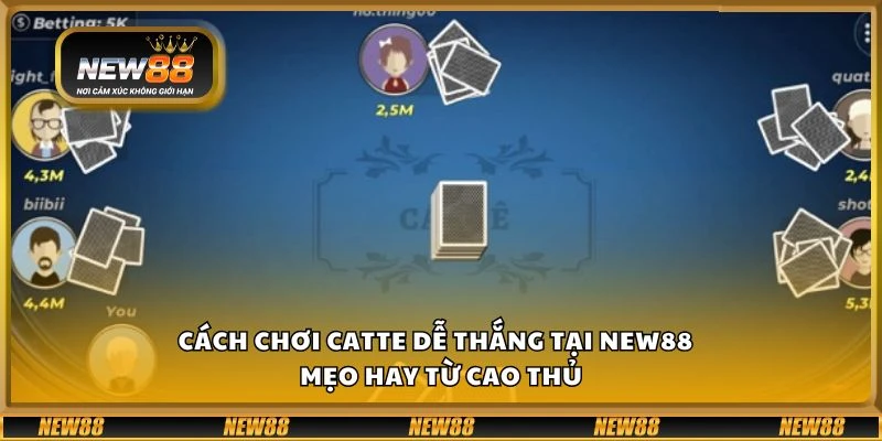 Cách chơi Catte dễ thắng tại New88 - Mẹo hay từ cao thủ